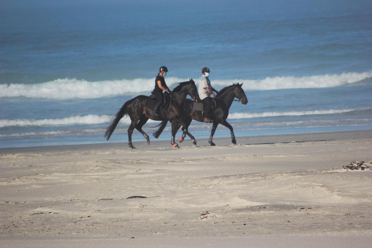 14 Penguin Place, Melkbosstrand Luaran gambar