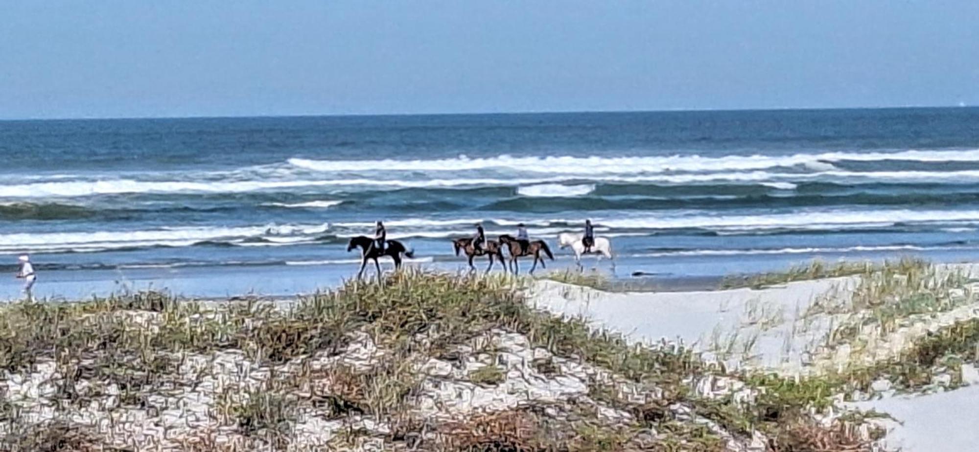 14 Penguin Place, Melkbosstrand Luaran gambar